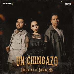 Ingratax, Banda MS de Sergio Lizárraga – Un Chingazo